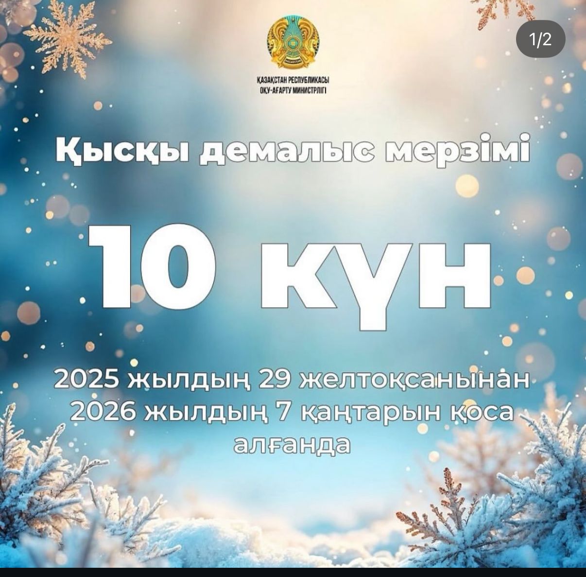 WhatsApp Image 2025 12 25 at 12.12.41